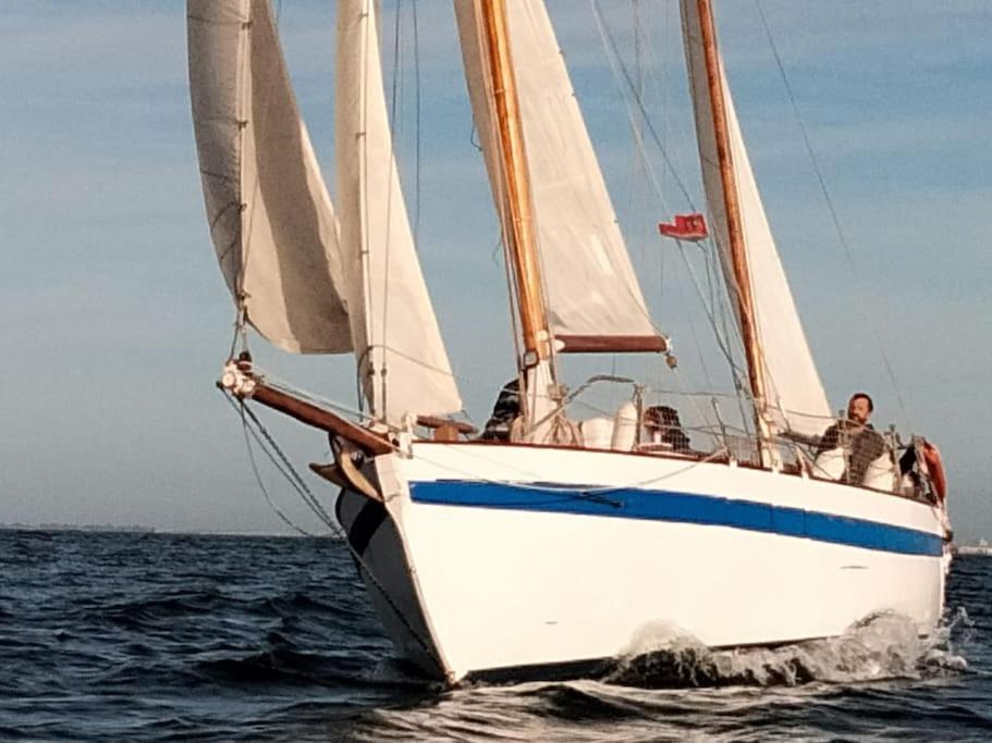 Bateau-hôtel Superbe Vieux Greement A La Rochelle