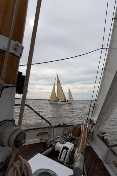 Superbe Vieux Greement A La Rochelle La Rochelle (Charente-Maritime)