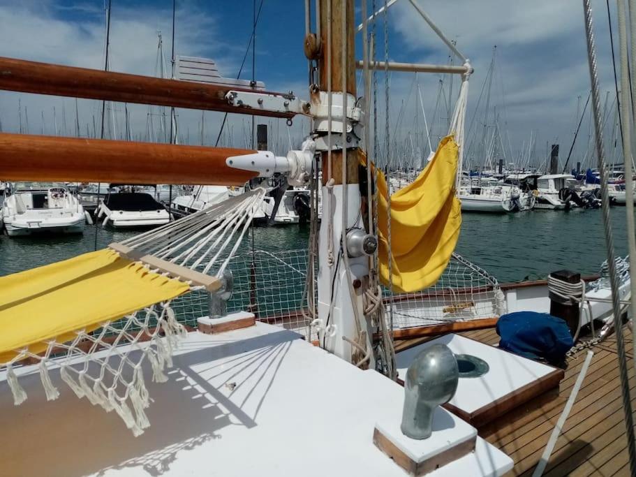 Superbe Vieux Greement A La Rochelle Botel