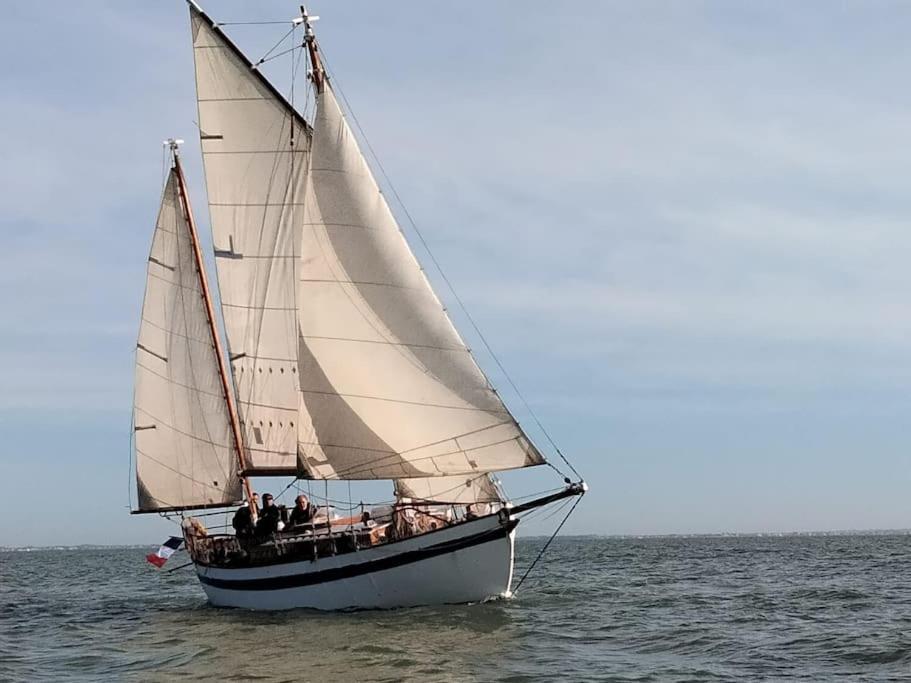 Superbe Vieux Greement A La Rochelle